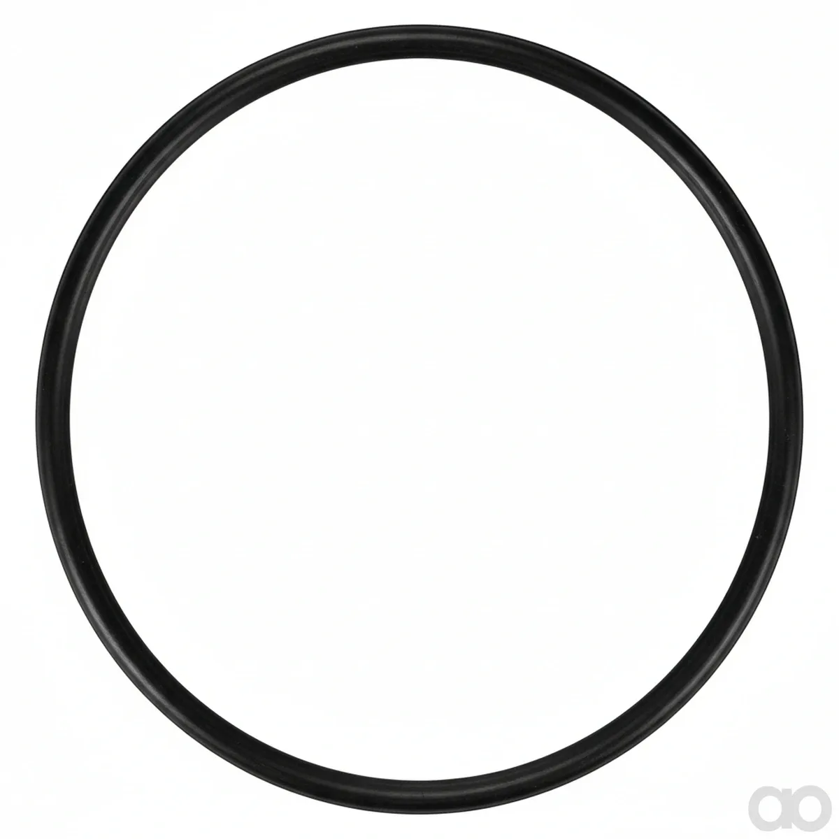 Massey Ferguson - 70925482 - O-Ring
