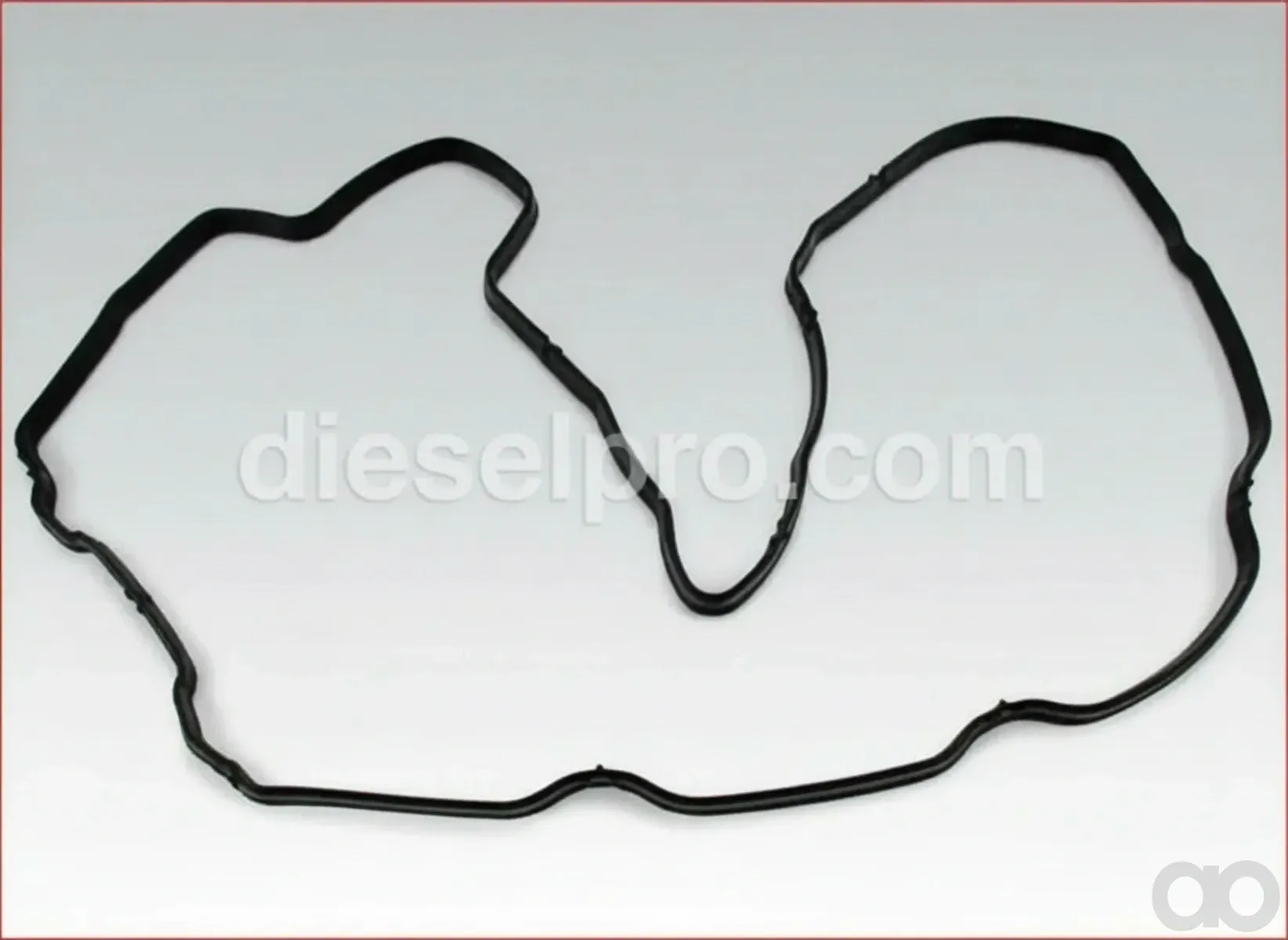 New Holland - 4899228 - Dichtung