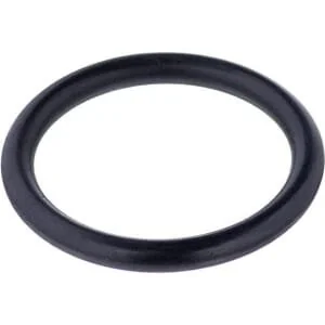 Annovi Reverberi - 550350 - O-Ring 23.8x2.62mm 70 Shore Schwarz