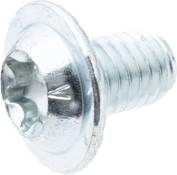 As Motor - G00009174 - Torx-Kuppelschraube (10x)