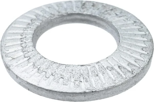 As Motor - G00042004 - Rastscheibe (5x)