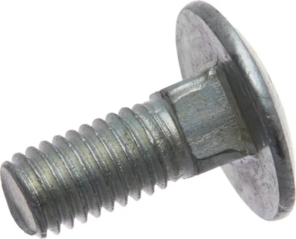 As Motor - G06650420 - Schraube (2x)