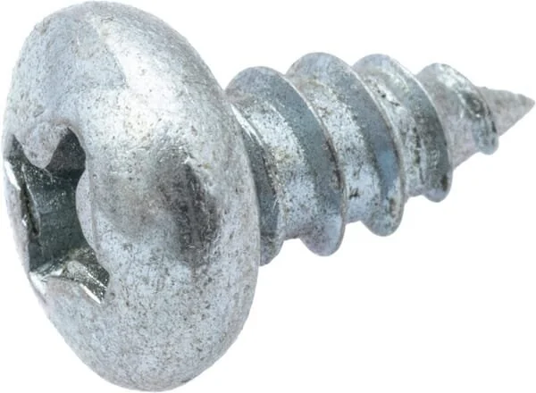 As Motor - G07875005 - Blechschraube mit Linsenkopf (10x)