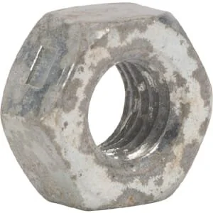 Ayp