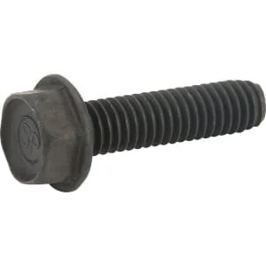 Ayp
