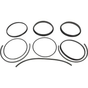 Battioni Pagani - 6080200352 - Dichtung Reparatursatz 8''BIDI