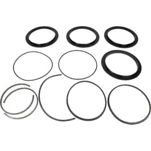Battioni Pagani - 6080200353 - Dichtung Reparatursatz 10''BIDI