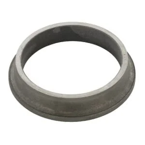 Battioni Pagani - BR38W - Wolframkarbid-Gleitringdichtung