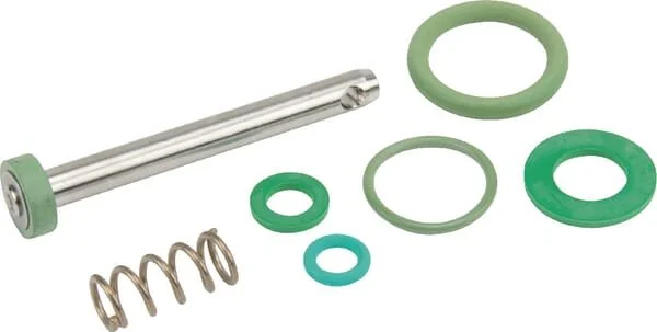 Birchmeier - 11664910 - Dichtungssatz Trigger Viton (10B) REB