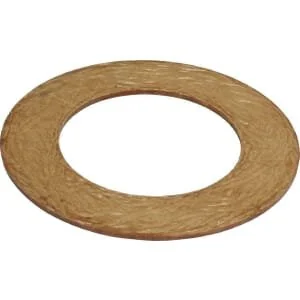 Bondioli Pavesi - 247006251R08 - Reibscheibe