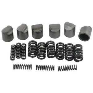 Bondioli Pavesi - 421340001R06 - Nocken mit Feder F.SA1-4/LC1-4