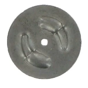 Braglia