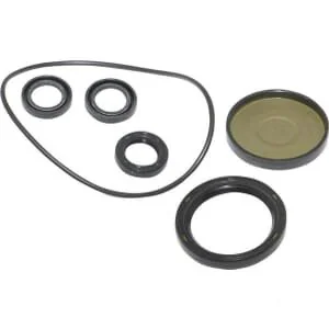 Briggs And Stratton - 202B2126GS - Kit-Öldichtung