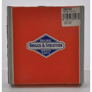 Briggs and Stratton