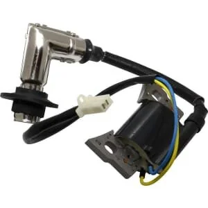 Briggs And Stratton - 317436GS - Zündspule, Briggs & Stratton