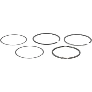 Briggs And Stratton - 493782 - Standard Ringsatz