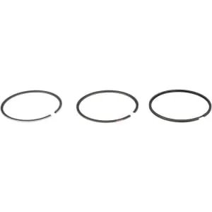 Briggs And Stratton - 555664 - Ring Satz