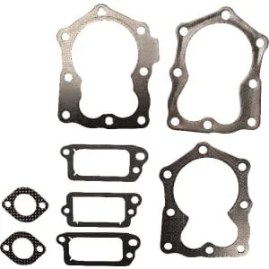 Briggs And Stratton - 590507 - Dichtungssatz