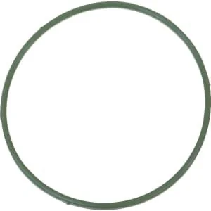 Briggs And Stratton - 591467 - Dichtung Schwimmergehäuse