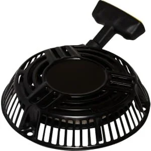 Briggs and Stratton