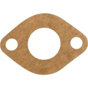 Briggs And Stratton - 68987 - Dichtung