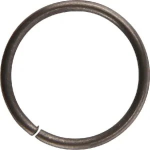 Briggs And Stratton - 690875 - Ring