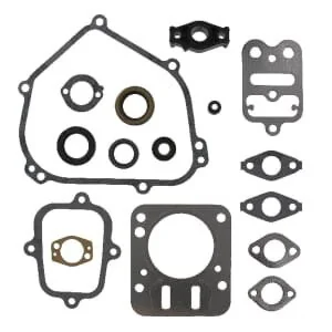Briggs And Stratton - 698216 - Dichtungssatz