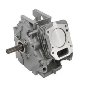 Briggs and Stratton