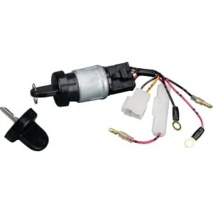 Briggs And Stratton - 712118 - Zündschlüssel