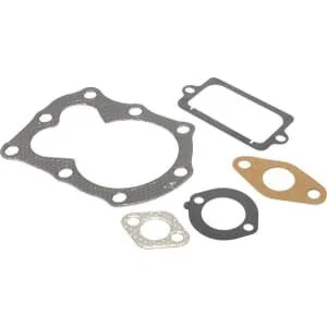 Briggs And Stratton - 795972 - Ventildichtungssatz