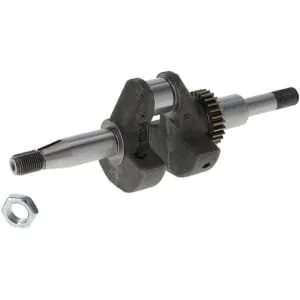 Briggs and Stratton