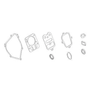 Briggs And Stratton - 798540 - Dichtungssatz