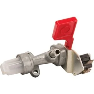 Briggs and Stratton
