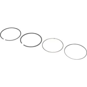 Briggs And Stratton - 799539 - Ringsatz-010