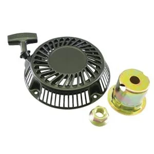 Briggs and Stratton