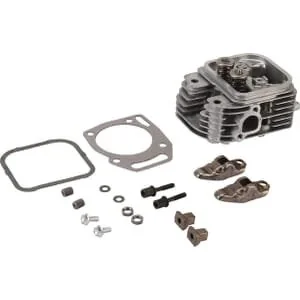 Briggs and Stratton