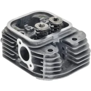 Briggs and Stratton