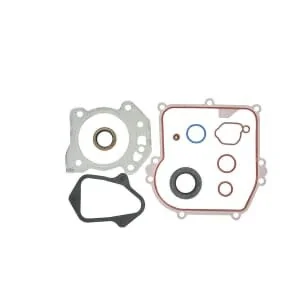 Briggs And Stratton - 84006587 - Dichtungssatz Motor