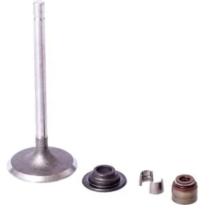 Briggs And Stratton - 843730 - Ansaugventil