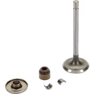 Briggs And Stratton - 843751 - Ansaugventil