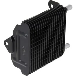 Briggs and Stratton