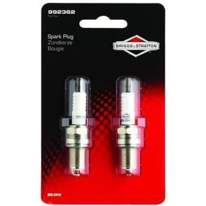 Briggs and Stratton