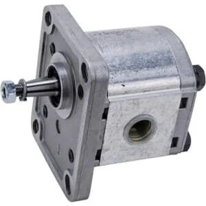 Casappa - PLP103D081E1G - Pumpe PLP10.315 D0-81E1-LGC/GC