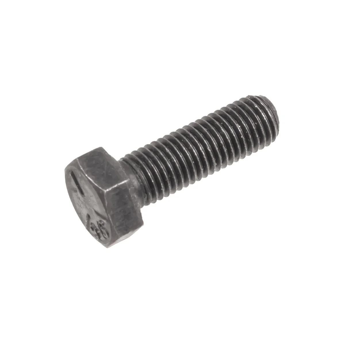 Cedrus - 130802 - Bolzen B&S Tiller GL03