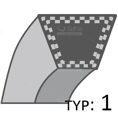 Cedrus - 480060 - Riemen Vertikutierer WR01
