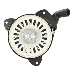 Cedrus - 481690 - R