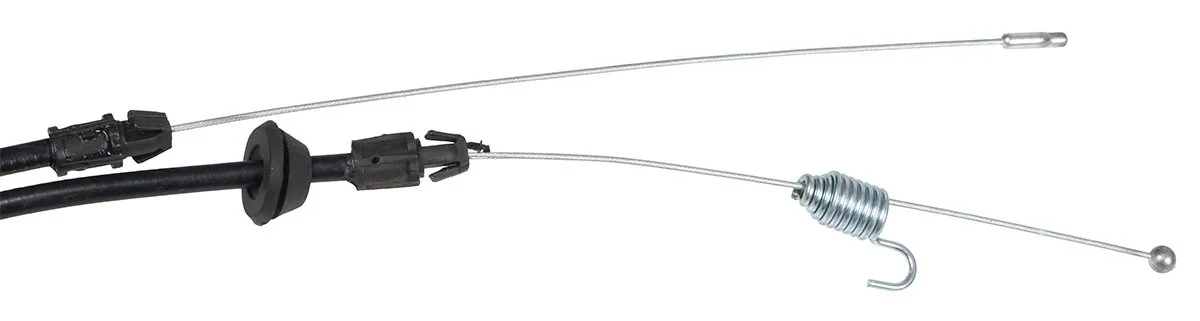 Cedrus - KCL20-06-1 - KCL20SP