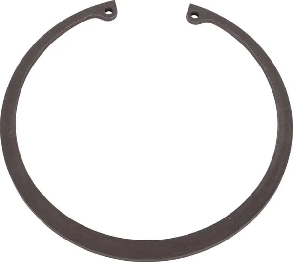 CNH - 84400879 - Sicherungsring