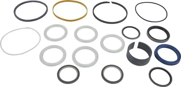 CNH - 85802568 - Dichtungssatz