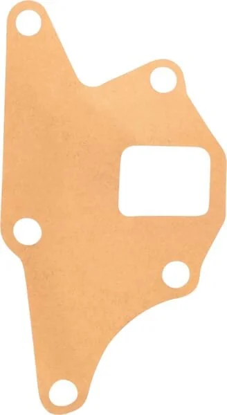 CNH - E5NN8507AB - Wasserpumpen Dichtung